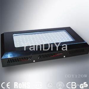 LED Grow Lights 5