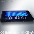 LED Grow Light