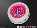 LED Grow Light