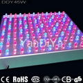 LED Grow Lights 2