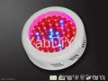 LED Grow Lights 4