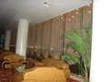 office curtains: rolling shutters, curtains, venetian blinds  4