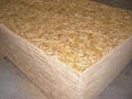 Oriented Shaving Board(OSB)