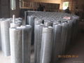 welded wire mesh 2