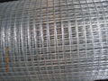 welded wire mesh 3