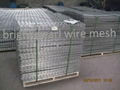 welded mesh gabion 2