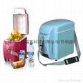 Thermoelectric Cooler & Warmer 1