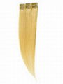 Clip in set Hair Extensions 1