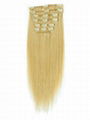 Clip in set Hair Extensions 2