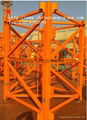 QTZ125A tower crane 3