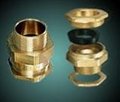 Brass Cable Gland 2