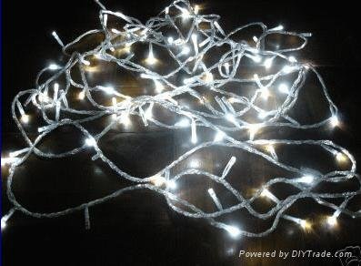 LED String Light 4