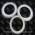 Spiral Wound Gasket 1