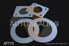Reinforced Expanded Graphite Gasket