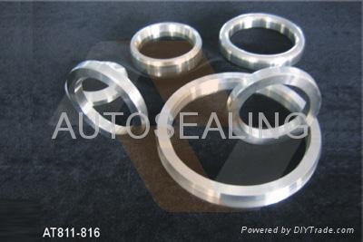 Ring Joint Metallic Gasket 