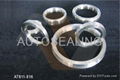 Ring Joint Metallic Gasket  1