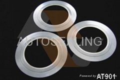 Expanded Graphite Gasket 