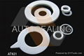 PTFE Gasket