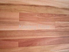 FSC Lyptus Solid Hardwood Flooring