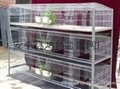 養殖籠具，雞鴿，兔籠，鴿籠