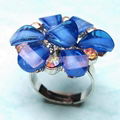 Fashion Jewelry Ring  2