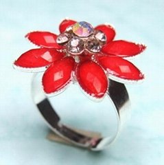 Fashion Jewelry Ring 