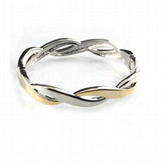 Fashion Jewelry Bangle