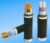 供應多種型號、多種電壓等級的電線電纜 2