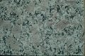 PearL flower granite cut to size