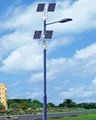 solar street light 1