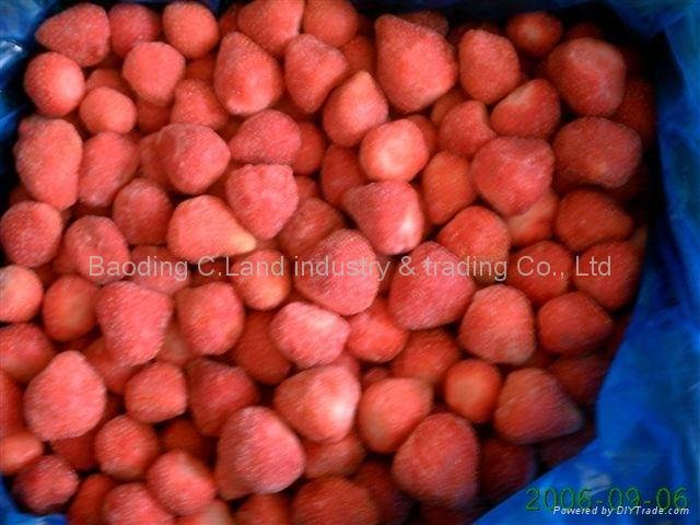 I.Q.F. strawberry 2