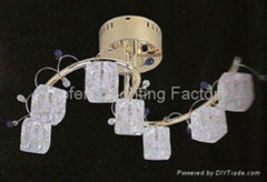 Chandelier lamp  pendant lamp   table lamp