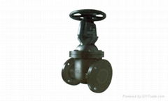 cast iron gate valve