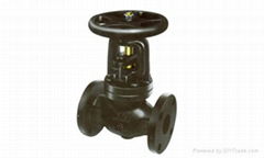 CAST IRON GLOBE VALVE