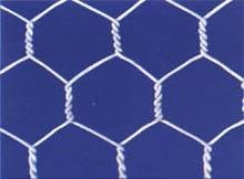 Hexagonal mesh  2