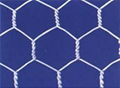 Hexagonal mesh  2