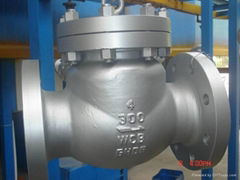 Check Valve api asni bs din C/F steel, vango valve