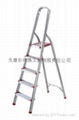 Aluminum ladder