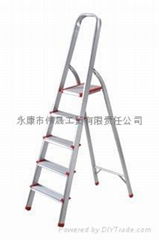 Aluminum ladder