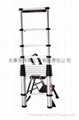 Telescopic ladder 1