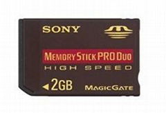 Memory Stick Pro Duo 