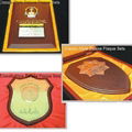 plaques 1