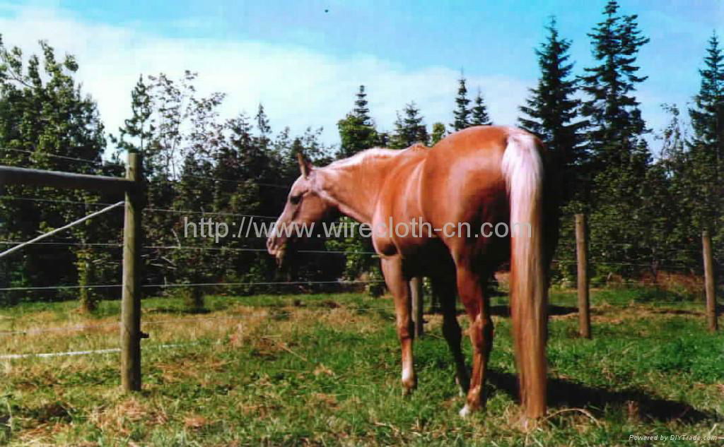 horse fence 2