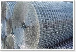 Stainless Steel Welded Wire Mesh