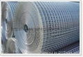 Stainless Steel Welded Wire Mesh 1