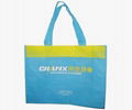 Non woven bag 4