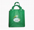 Non woven bag 5