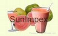 Guava Juice Pulps Puree