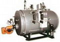 Central Combustion Three Reheat Cycle Oil(Gas)-Fired steam Boiler 1