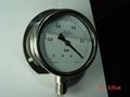 pressure gauge 1